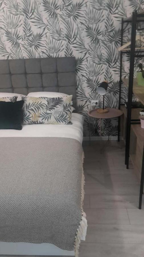 The Cozy Studio, Varna City Centre Zewnętrze zdjęcie